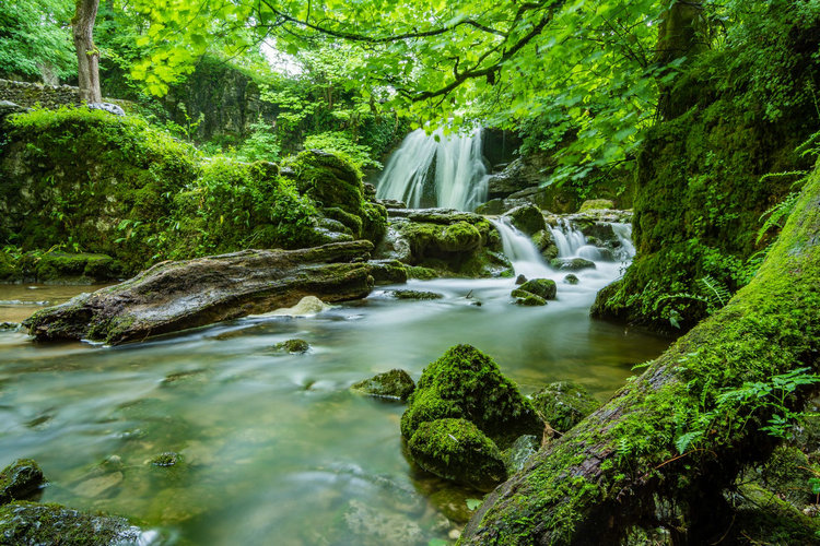 水質(zhì)測(cè)定儀